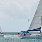 HIHO 2010