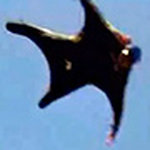 Wingsuit Flying