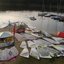 infon1surf