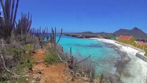 Bonaire 2015