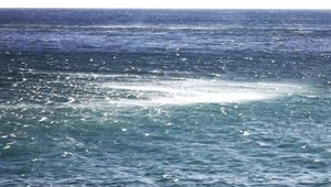 THE NORTH STORM in Liguria