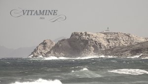 Vitamine Sea