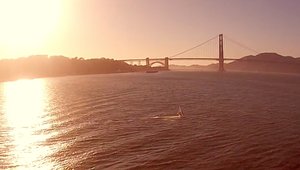 Windsurfing - San Francisco Late April (2015)