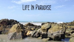 Life In Paradise