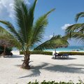Zanzibar – powiew tropików